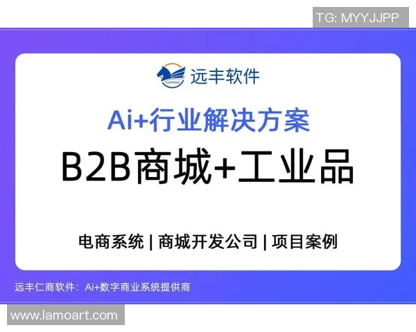 B2B技术服务商助力企业转型升级提供全方位解决方案